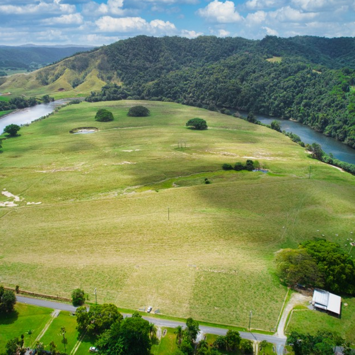 Daintree RV Park, QLD