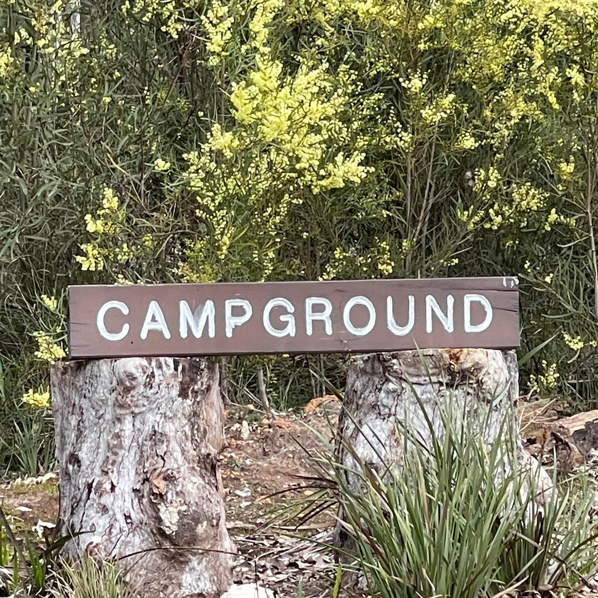 Northcliffe Bush Camp, WA AU